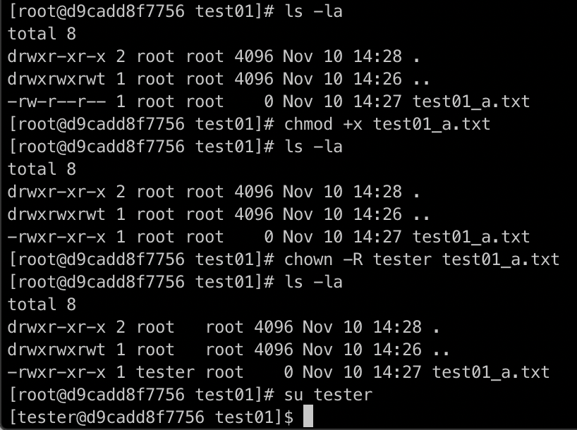 bash permissions