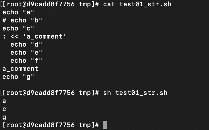 bash comment