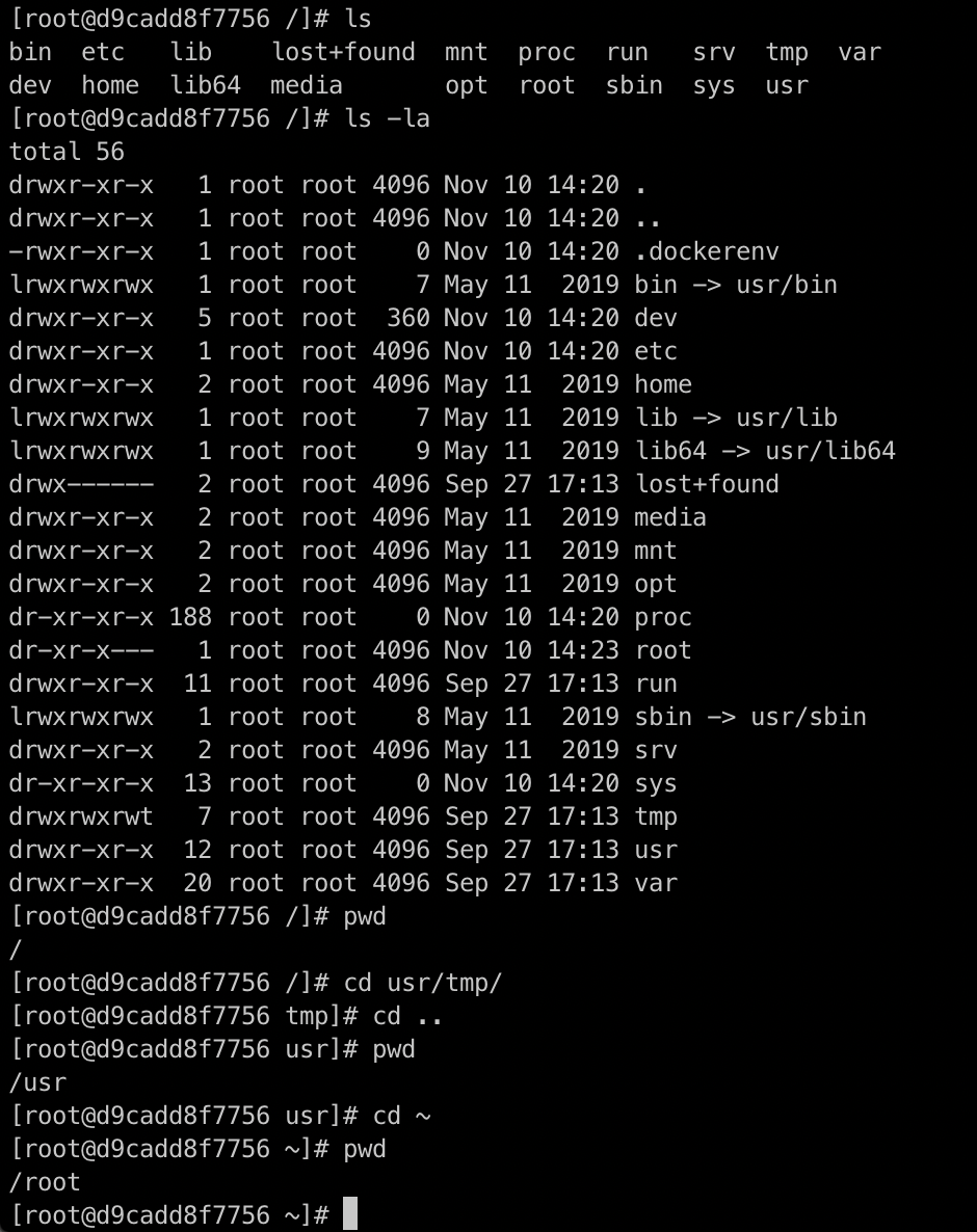 bash path