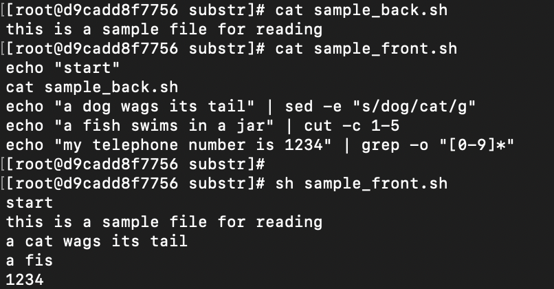 bash string