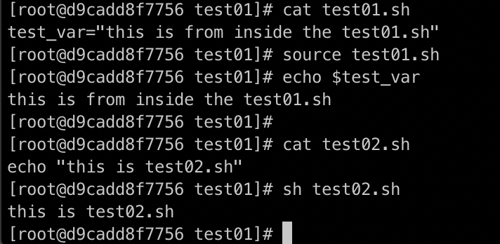 bash exec
